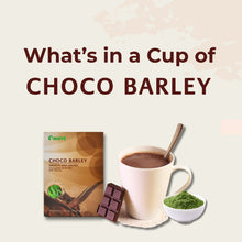 Santé Choco Barley (15g x 10 Sachets) – Smooth and Creamy Chocolate Drink