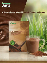 Santé Choco Barley (15g x 10 Sachets) – Smooth and Creamy Chocolate Drink